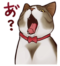 omame, azuki beans, and  families sticker #1836095