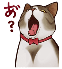 omame, azuki beans, and families sticker #1836095