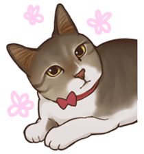 omame, azuki beans, and families sticker #1836097