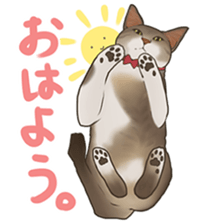 omame, azuki beans, and  families sticker #1836098