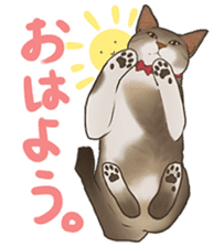 omame, azuki beans, and families sticker #1836098