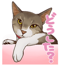 omame, azuki beans, and families sticker #1836099