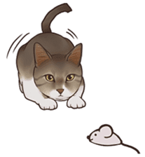 omame, azuki beans, and families sticker #1836100