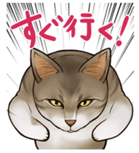 omame, azuki beans, and families sticker #1836101