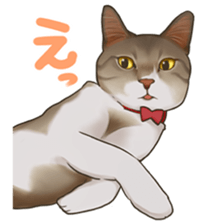 omame, azuki beans, and  families sticker #1836102