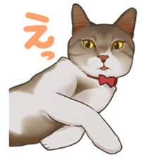 omame, azuki beans, and families sticker #1836102