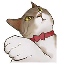 omame, azuki beans, and  families sticker #1836104