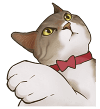 omame, azuki beans, and families sticker #1836104