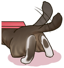 omame, azuki beans, and  families sticker #1836105