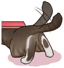 omame, azuki beans, and families sticker #1836105