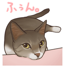 omame, azuki beans, and families sticker #1836106