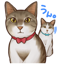 omame, azuki beans, and  families sticker #1836111