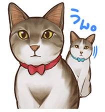 omame, azuki beans, and families sticker #1836111