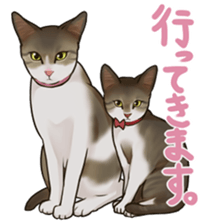 omame, azuki beans, and  families sticker #1836117