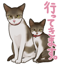 omame, azuki beans, and families sticker #1836117