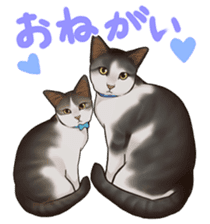 omame, azuki beans, and families sticker #1836118