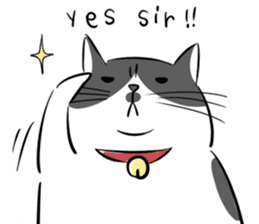 A couple of stray cats sticker #1837020