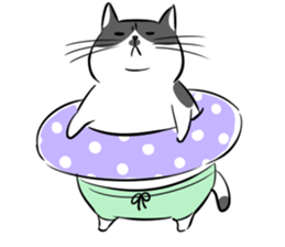 A couple of stray cats sticker #1837022