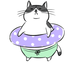 A couple of stray cats sticker #1837022