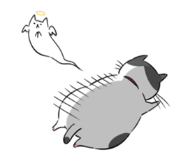 A couple of stray cats sticker #1837036