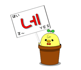 tokkiwapyonari(Korean,Hangul) sticker #1837383