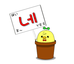tokkiwapyonari(Korean,Hangul) sticker #1837383