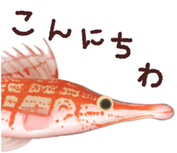 osakana sticker sticker #1838532