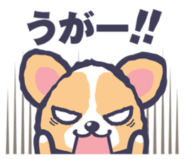 Corgi vol.2 sticker #1839433