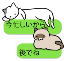 talk obstacle cat sticker #1840532