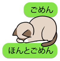 talk obstacle cat sticker #1840533