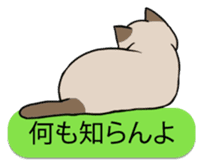 talk obstacle cat sticker #1840534