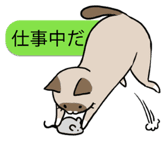 talk obstacle cat sticker #1840536