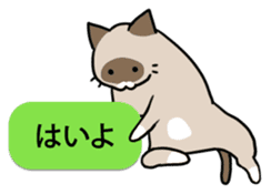 talk obstacle cat sticker #1840537