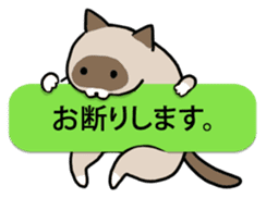 talk obstacle cat sticker #1840539