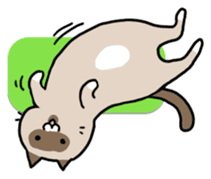 talk obstacle cat sticker #1840546