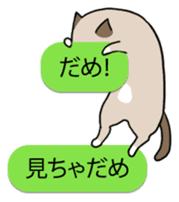 talk obstacle cat sticker #1840550