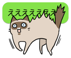 talk obstacle cat sticker #1840553