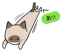 talk obstacle cat sticker #1840556