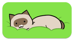 talk obstacle cat sticker #1840558