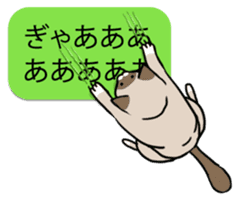 talk obstacle cat sticker #1840560