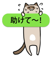 talk obstacle cat sticker #1840561