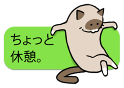 talk obstacle cat sticker #1840563