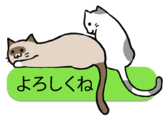 talk obstacle cat sticker #1840564
