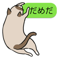 talk obstacle cat sticker #1840566