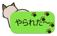 talk obstacle cat sticker #1840568