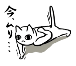 Master Neko sticker #1840782
