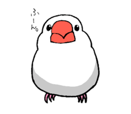 BUNTYOU BIRD sticker #1841093