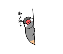 BUNTYOU BIRD sticker #1841116