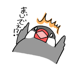 BUNTYOU BIRD sticker #1841117