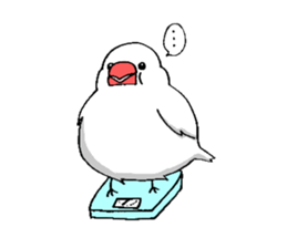 BUNTYOU BIRD sticker #1841129